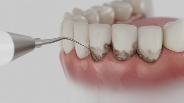 Reliable Dental contractor in New Knoxville, OH by Dentist Open Now